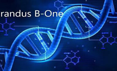 Grandus® B-One – НОВО ПОКОЛЕНИЕ ИНЖЕКЦИОНЕН ВЪЗСТАНОВИТЕЛЕН БИОЛОГИЧЕН ИМПЛАНТ